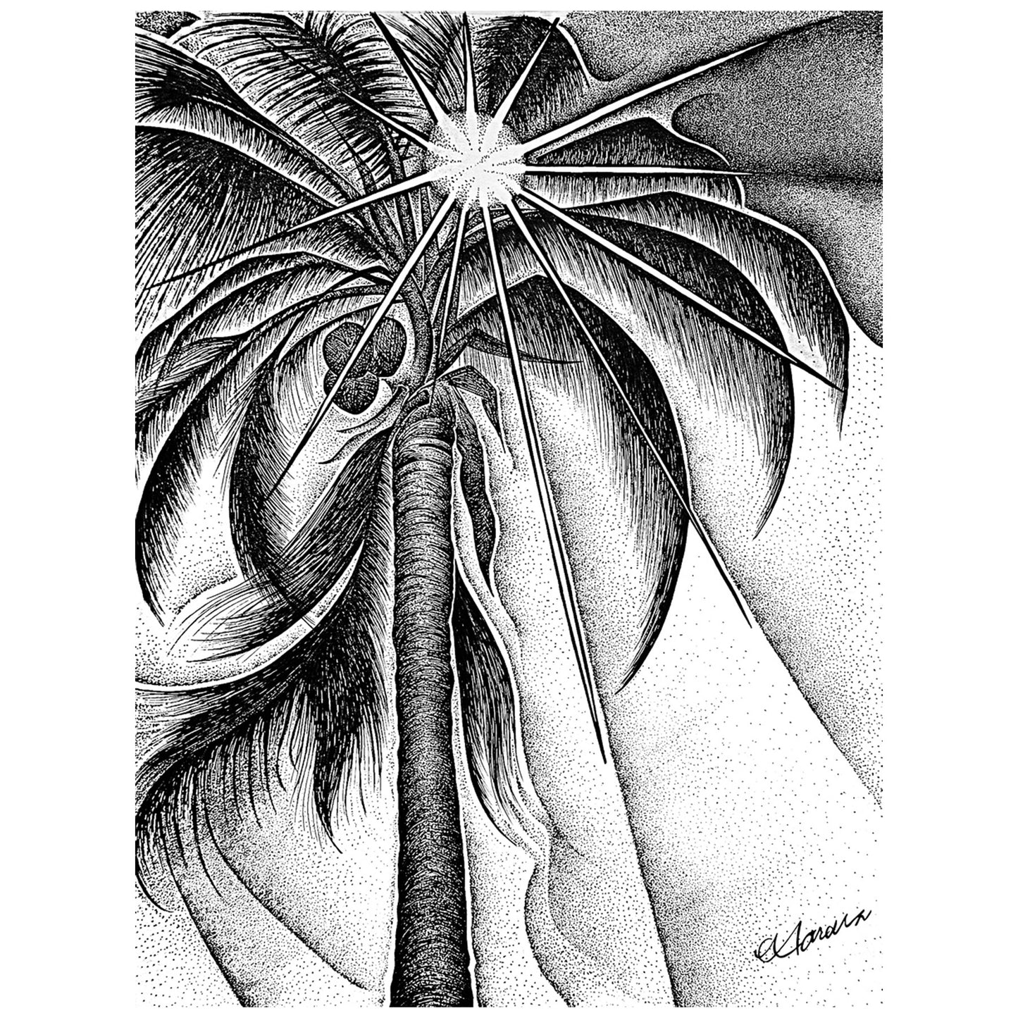 SUN. PALMS. PIXIE DUST