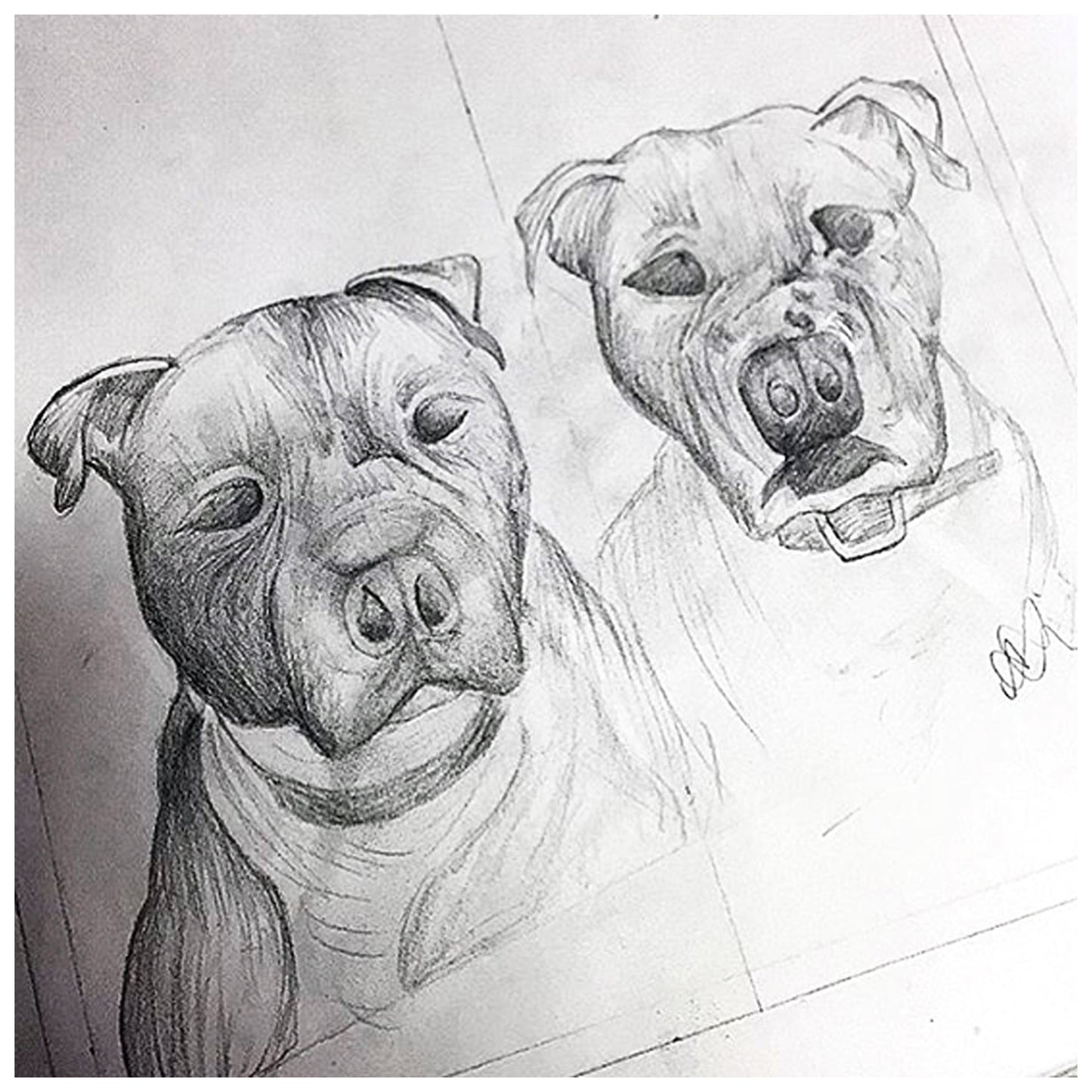 SKETCHES 26 - PUPS