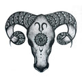 ARIES