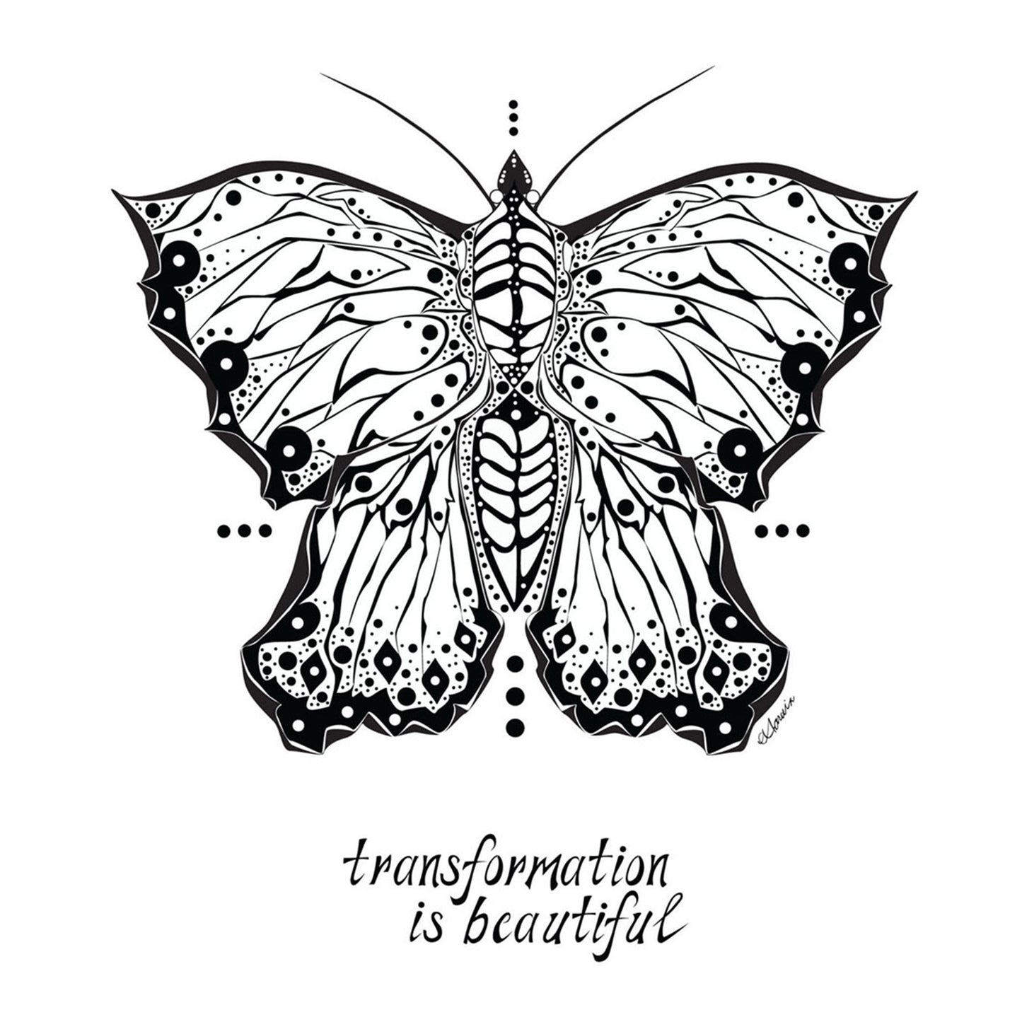 BUTTERFLY