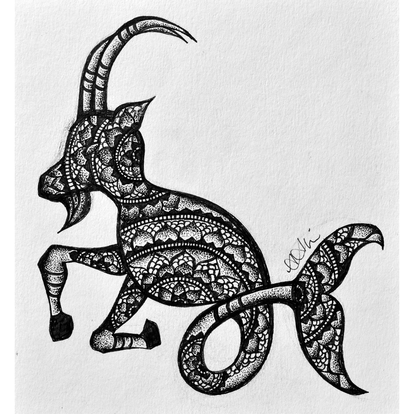 CAPRICORN