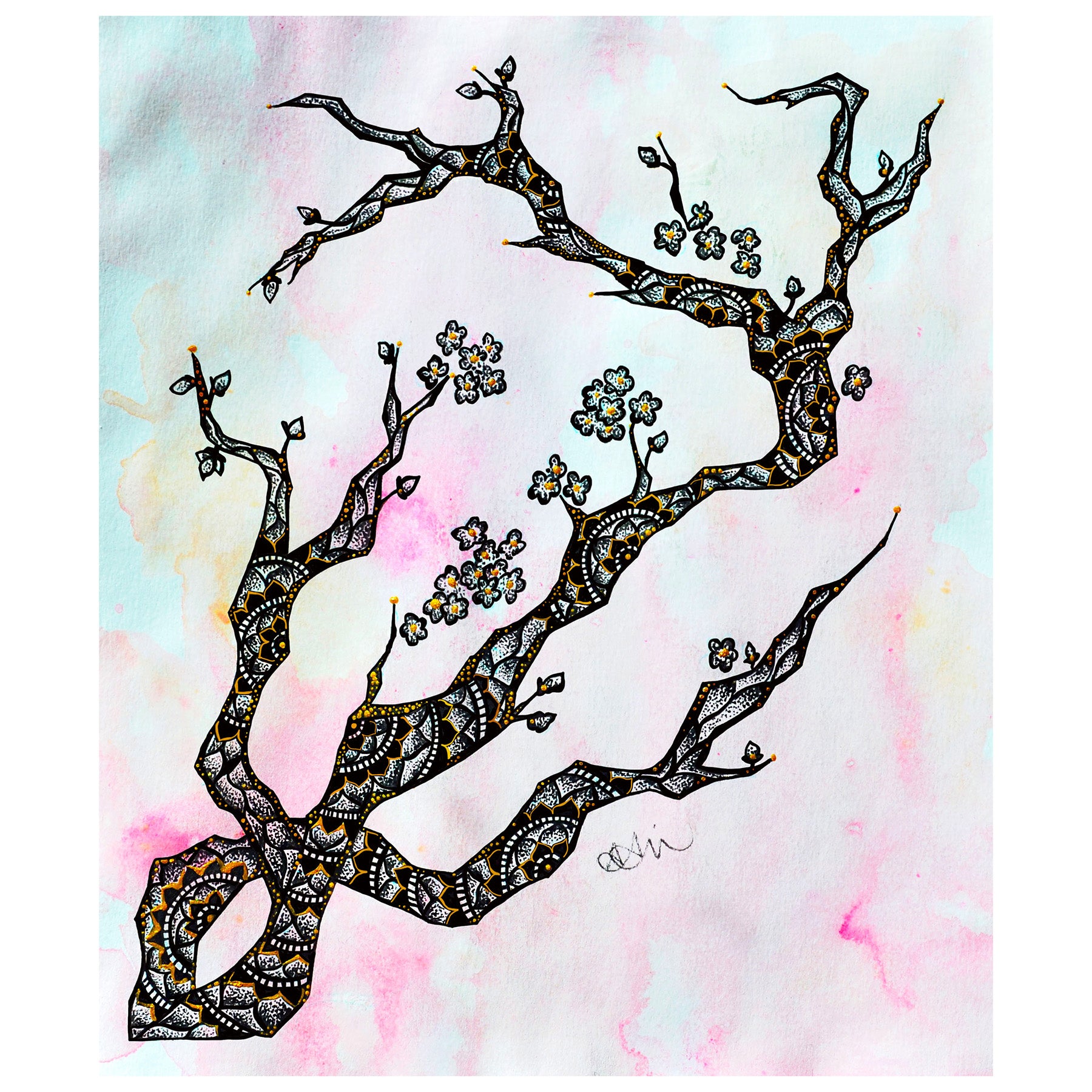 CHERRY BLOSSOMS
