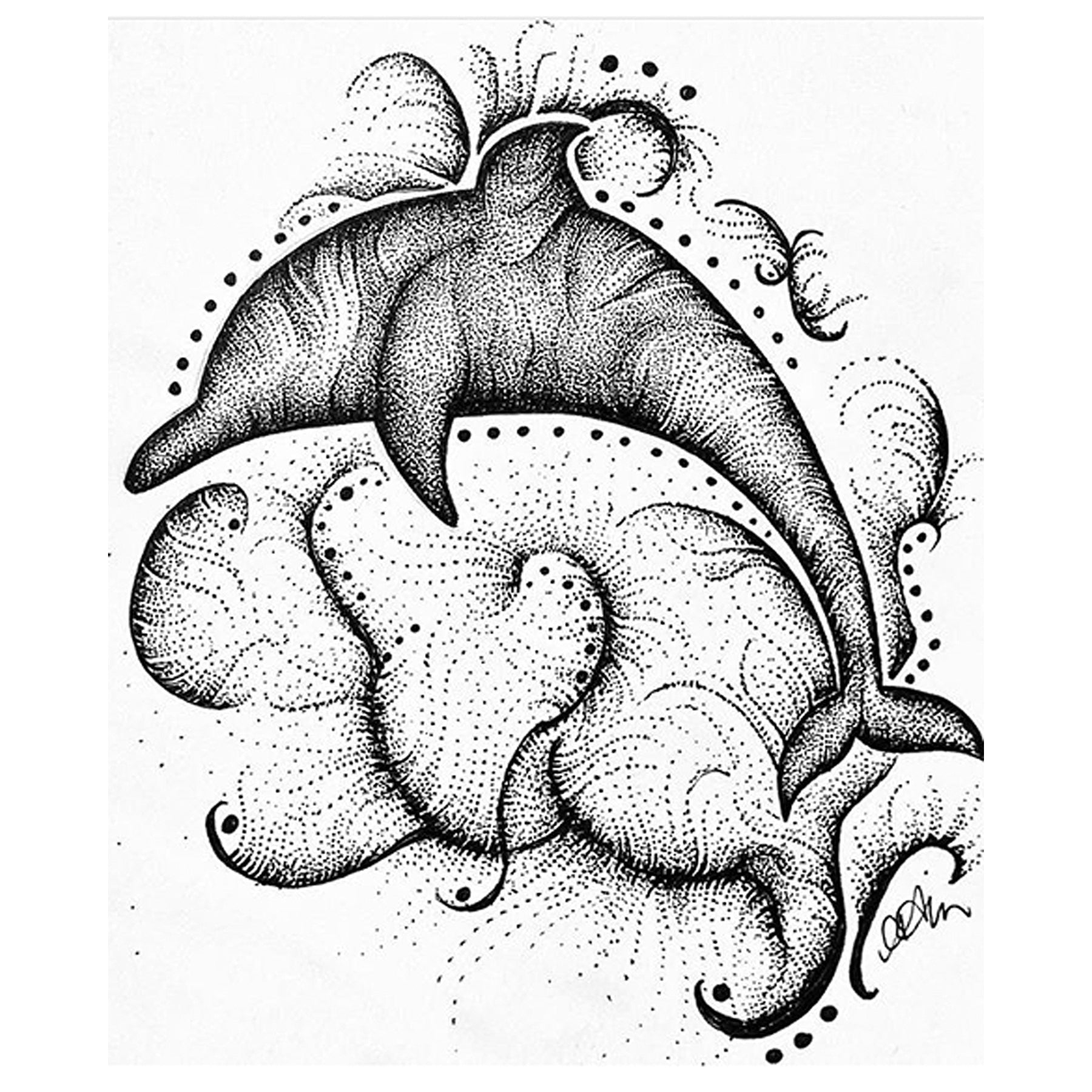 DOLPHIN