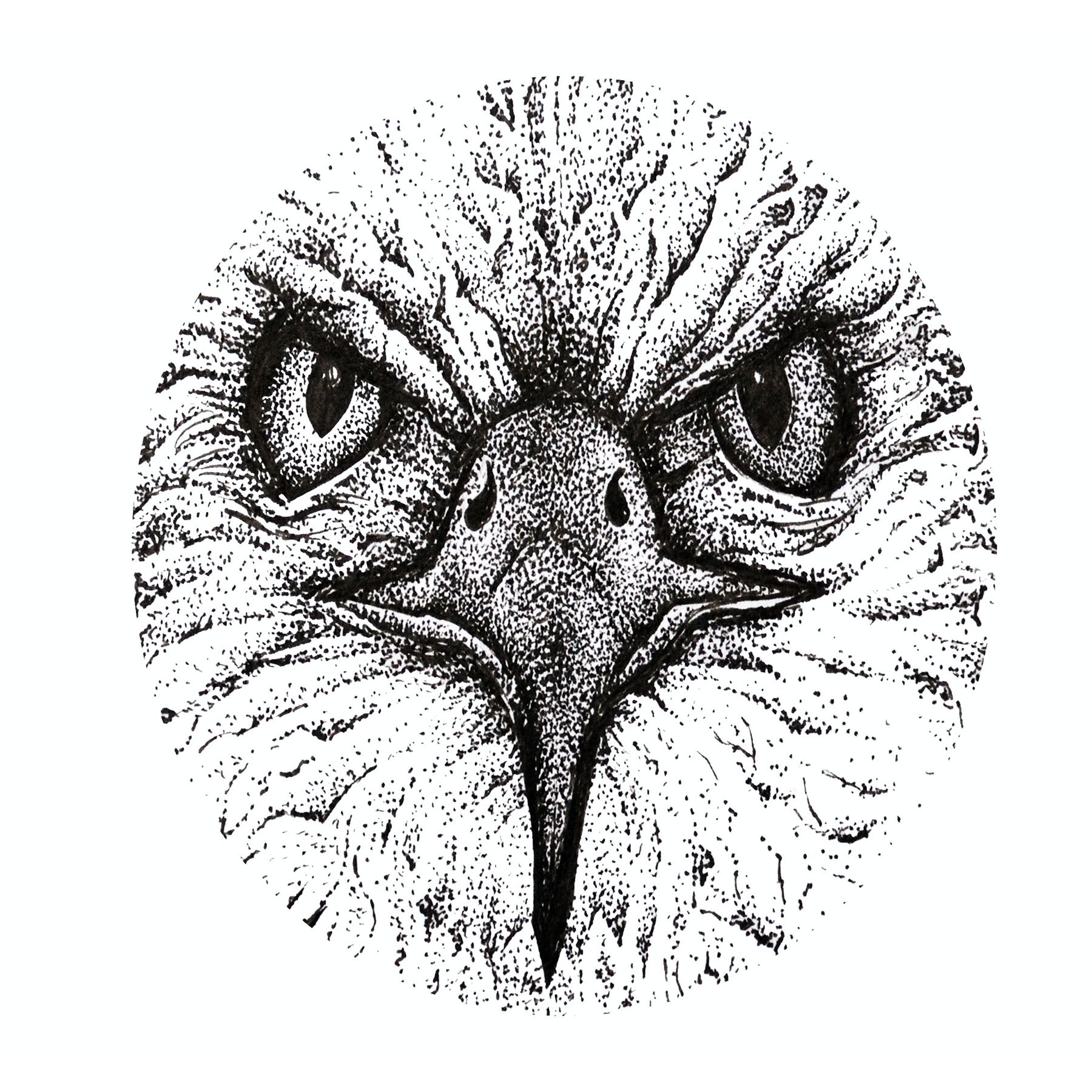 EAGLE