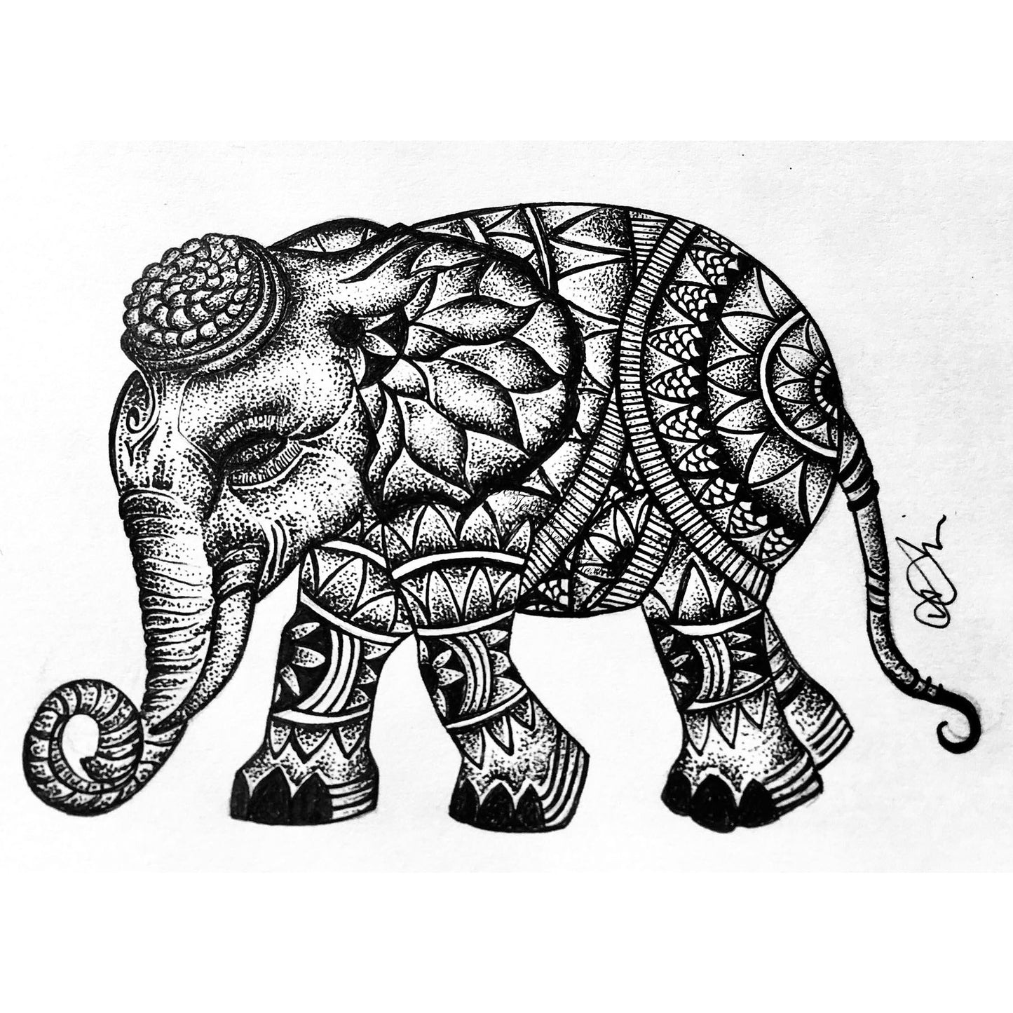 ELEPHANT (WANDERER)