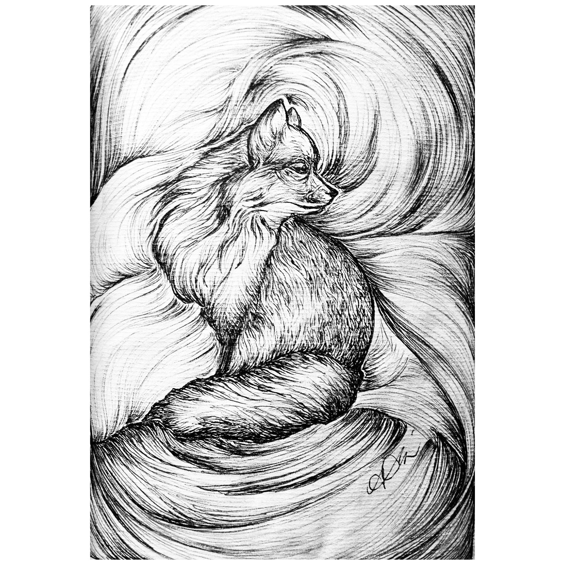 FOX