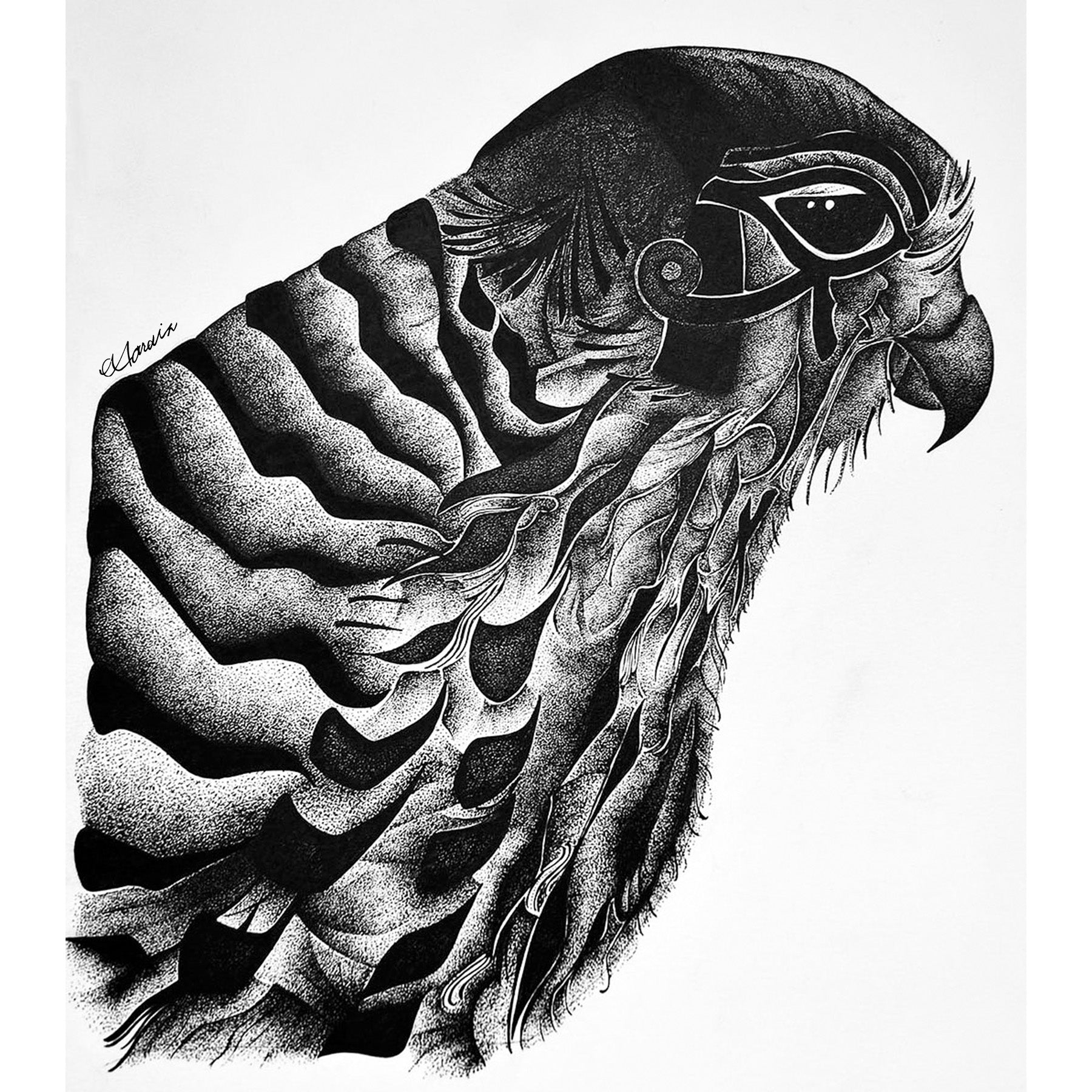 HAWK EYE