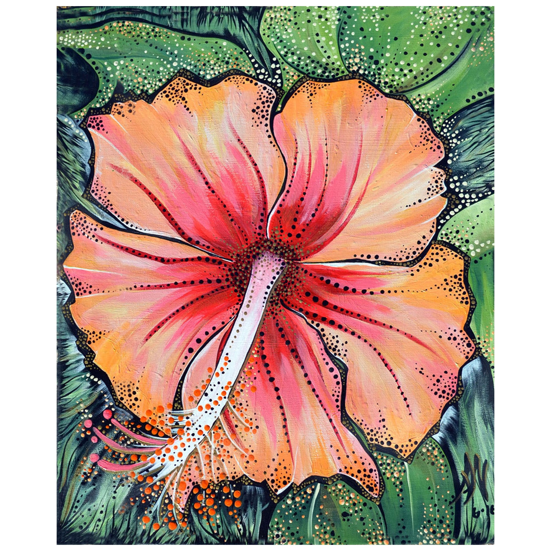 HIBISCUS