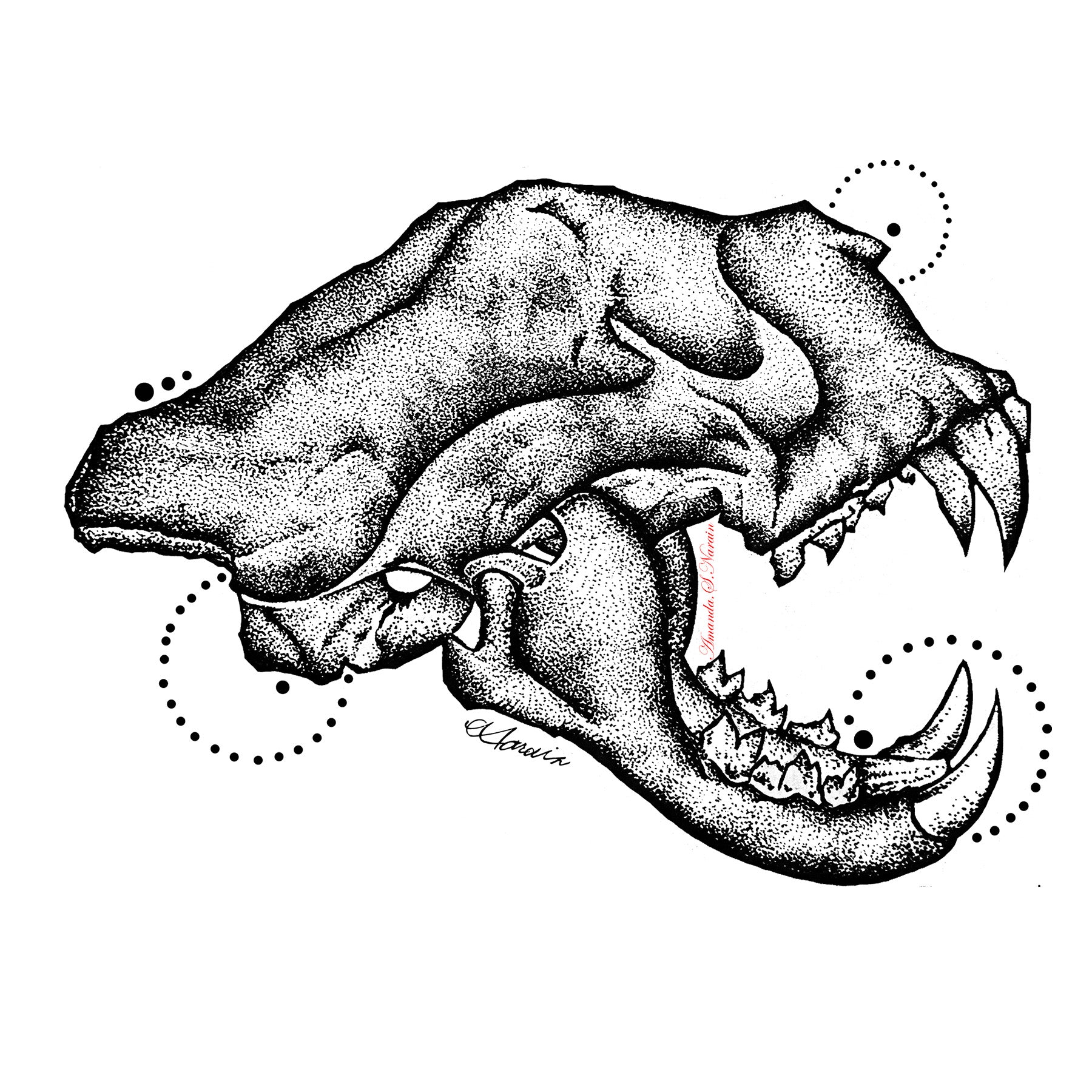 JAG SKULL