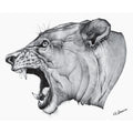 LIONESS