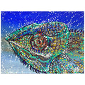 LIZARD
