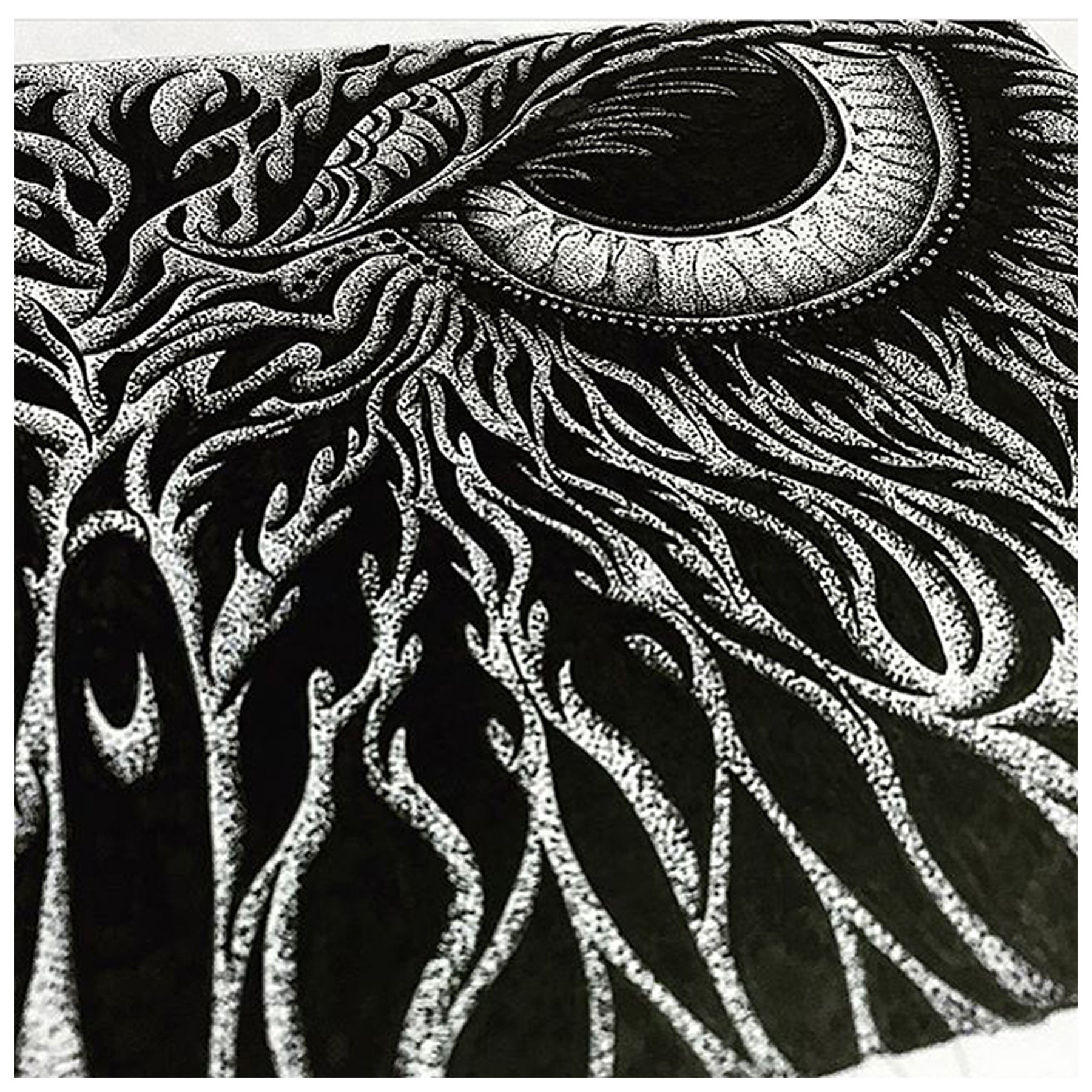 OWL EYE