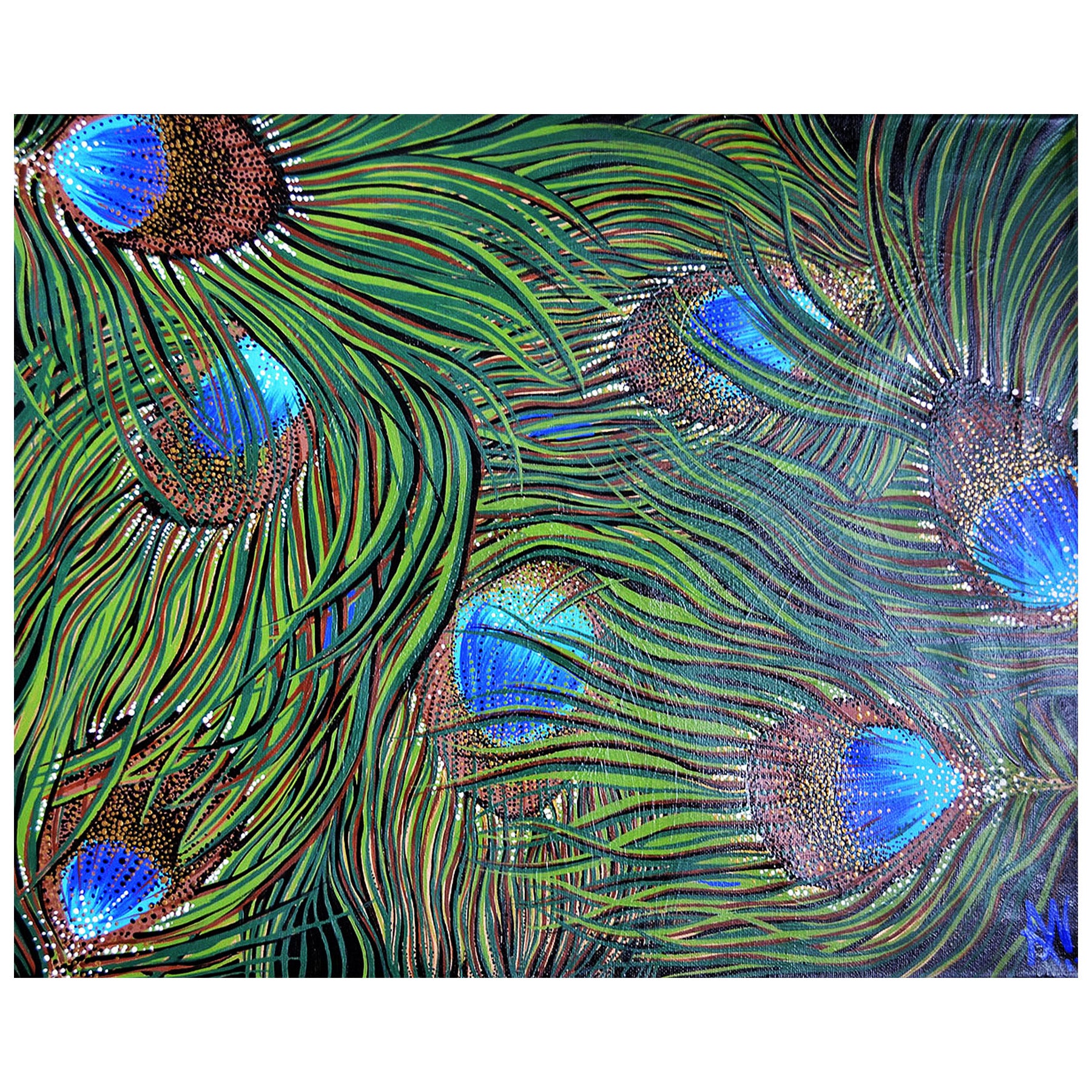 PEACOCK FEATHERS