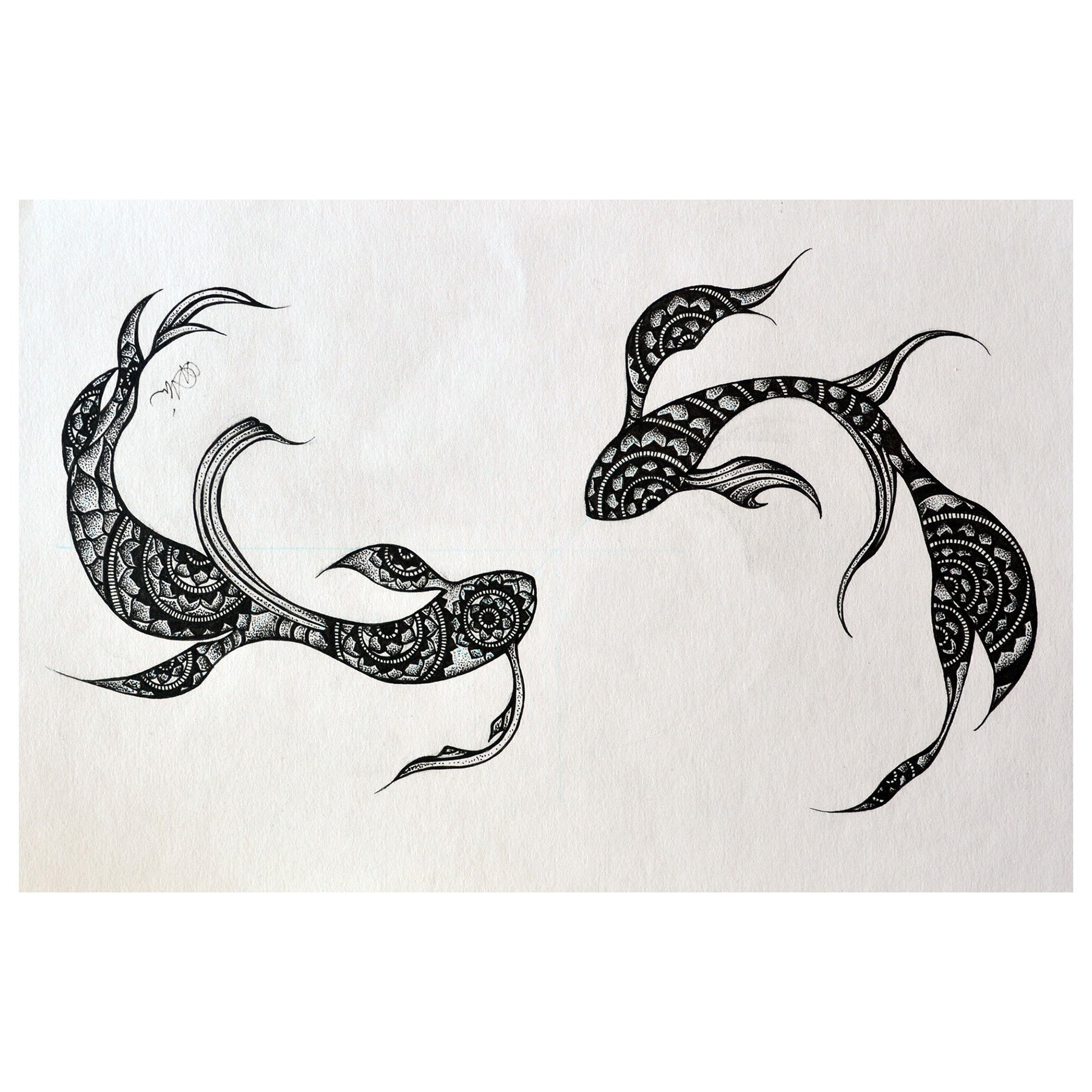 PISCES