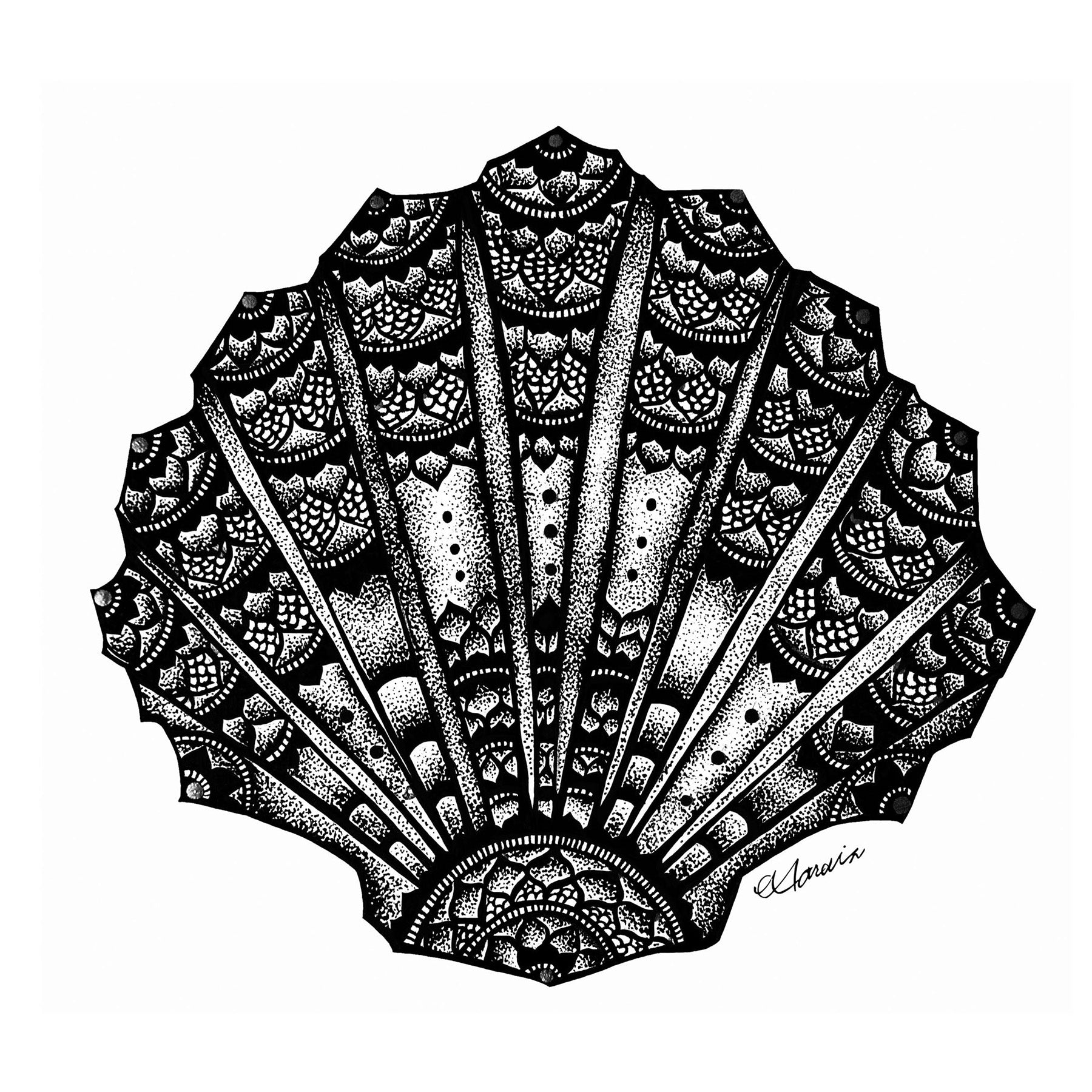 SEA SHELL