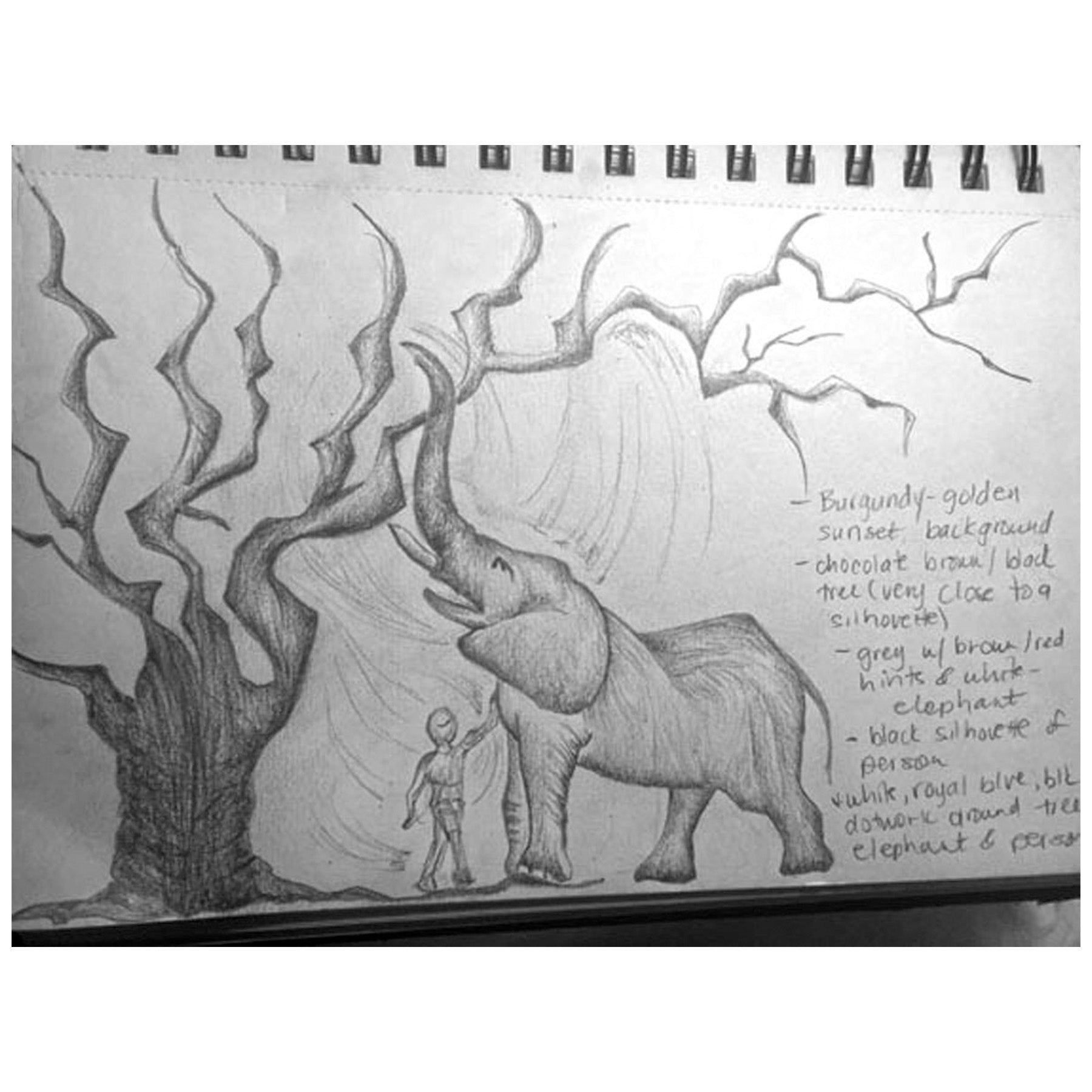 SKETCH 7
