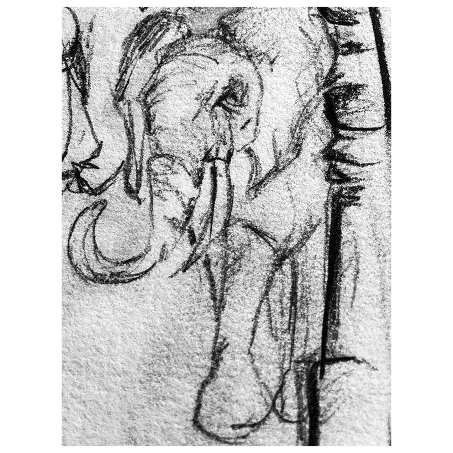 SKETCH 8 - ELEPHANT
