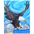 SOAR