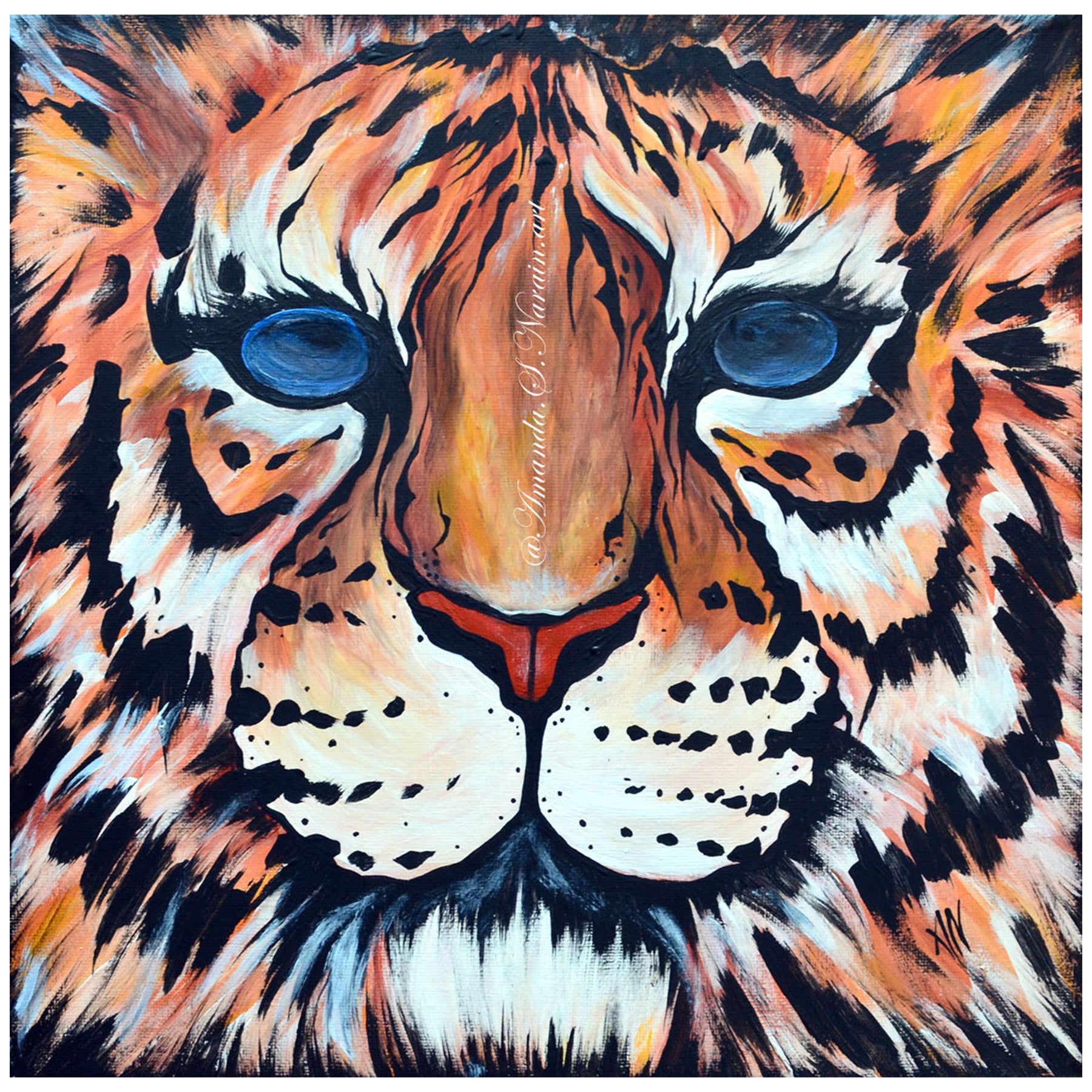 TIGER
