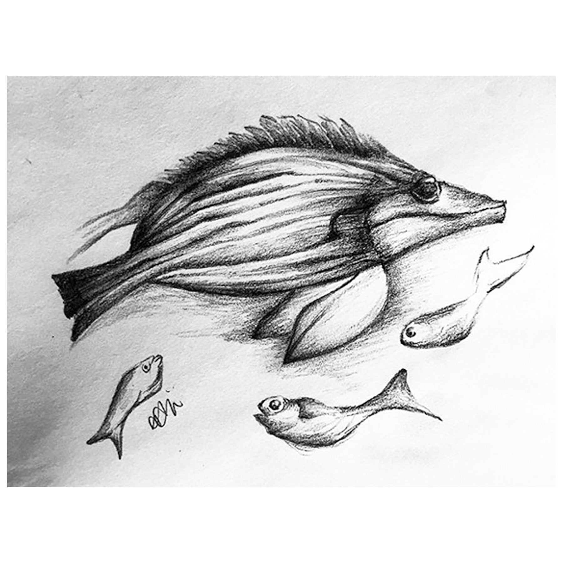 SKETCH 11