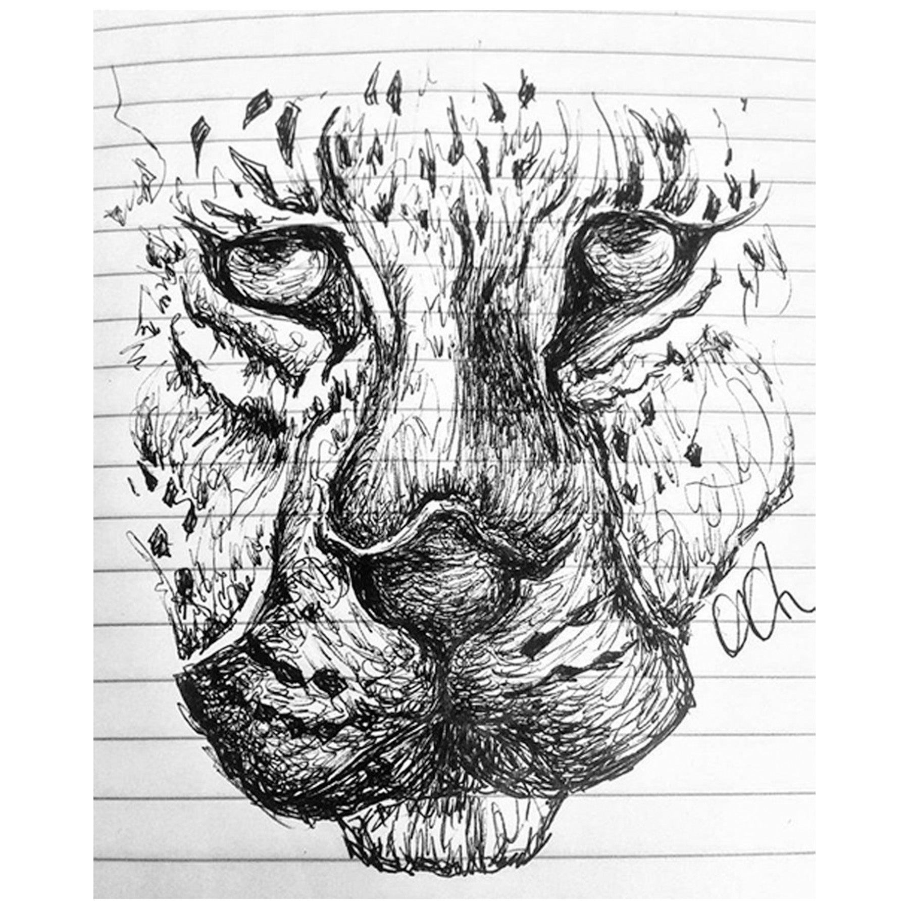 SKETCH 18
